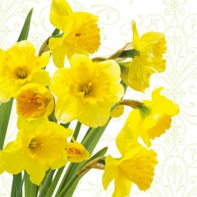 Top 10 π Posh Setting Yellow Daffodils Floral Lunch Napkin - 20 Pack π― 3 Top 10 π Posh Setting Yellow Daffodils Floral Lunch Napkin - 20 Pack π―