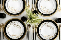 Budget π€© Posh Setting 32 Pack White and Gold Round Plastic Dinnerware Set (16 Guests) - Spring π 7 Budget π€© Posh Setting 32 Pack White and Gold Round Plastic Dinnerware Set (16 Guests) - Spring π -Cheap poshsetting Store 3164 D 600x396 c4b78dec f0b5 4f81 922f 16841112f8ef