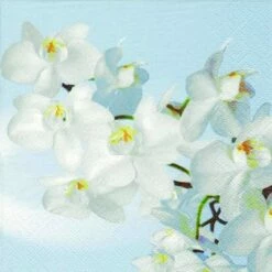 Buy 😉 Posh Setting Orchidea Blanca Acqua Floral Lunch Napkin - 20 Pack ❤️