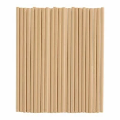 Cheapest 💯 Posh Setting Light Brown Paper Straws 24 Pack ✨