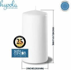 Buy ⭐ Posh Setting White Pillar Candles Unscented Dripless Clean Burning Smokeless Dinner Candle 2" x 4" 4 Pack 🔥 -Cheap poshsetting Store 71T0 lD9F6L. AC SL1500