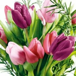 Best Sale 🔥 Posh Setting Tulips Floral Lunch Napkin - 20 Pack 🥰