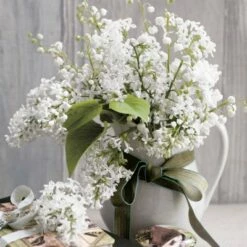 Promo 🧨 Posh Setting Orlene Floral Lunch Napkin - 20 Pack 🔔