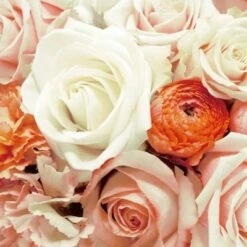 Flash Sale ❤️ Posh Setting Anabel Floral Lunch Napkin - 20 Pack ✔️