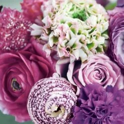 Coupon 🎁 Posh Setting Talitha Floral Lunch Napkin - 20 Pack 🛒