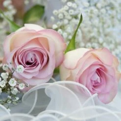 Budget ✔️ Posh Setting Ambiance Romantique Floral Lunch Napkin - 20 Pack 🥰