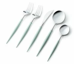 Best reviews of ✔️ Posh Setting Noble Collection Silver And Turquoise Flatware Set 40 Count-Setting for 8 ⭐