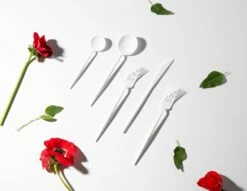 Top 10 ⌛ Posh Setting Noble Collection White Flatware Set 40 Count-Setting for 8 🔔 -Cheap poshsetting Store DSC 3152