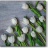Flash Sale 😀 Posh Setting White Tulips Floral Lunch Napkin - 20 Pack 🤩
