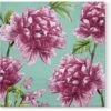 Brand new π Posh Setting Beautiful Peonies Floral Lunch Napkin - 20 Pack π 1 Brand new π Posh Setting Beautiful Peonies Floral Lunch Napkin - 20 Pack π -Cheap poshsetting Store SDL122200 400x390 ec56e101 a8b9 4033 914f 31b83e5b258c