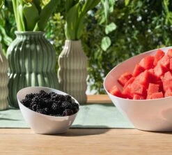 Promo 🧨 Posh Setting White Angled Plastic Serving Bowls - Serverware ❤️ -Cheap poshsetting Store SmallWhitelifestyle 1f2e050a 72ac 409b aa91 9811ff4e1890